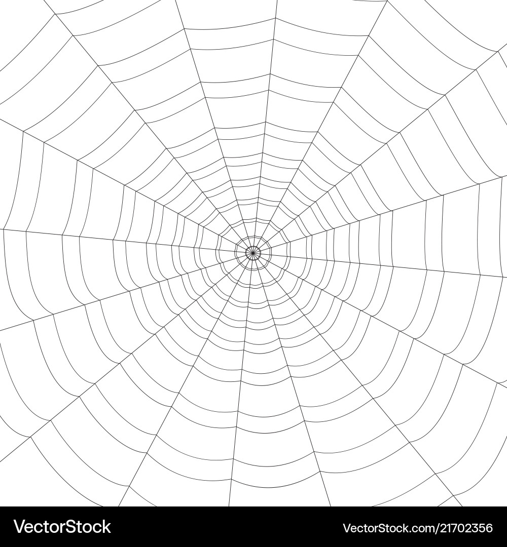 Concentric white web on a background Concentric white web on a background vector image