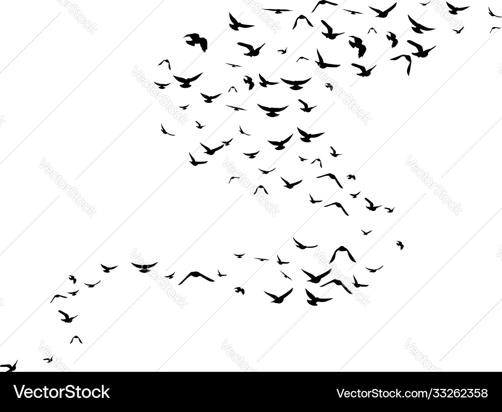 Flying birds decoration element from scattered Flying birds decoration element from scattered vector image