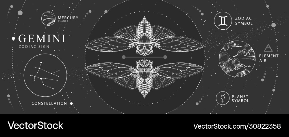 Gemini Astrology Butterfly Card Vector Image