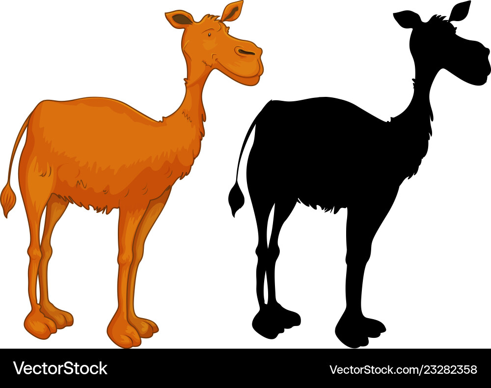 Set of camel character vector image