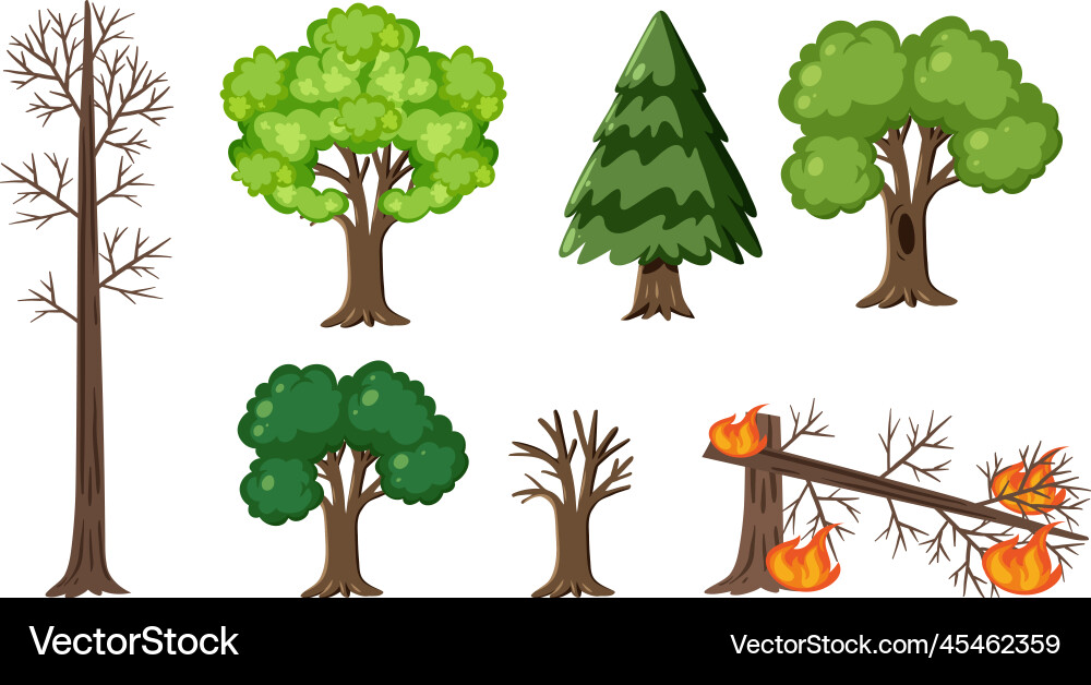 Set of tree in different condition vector image