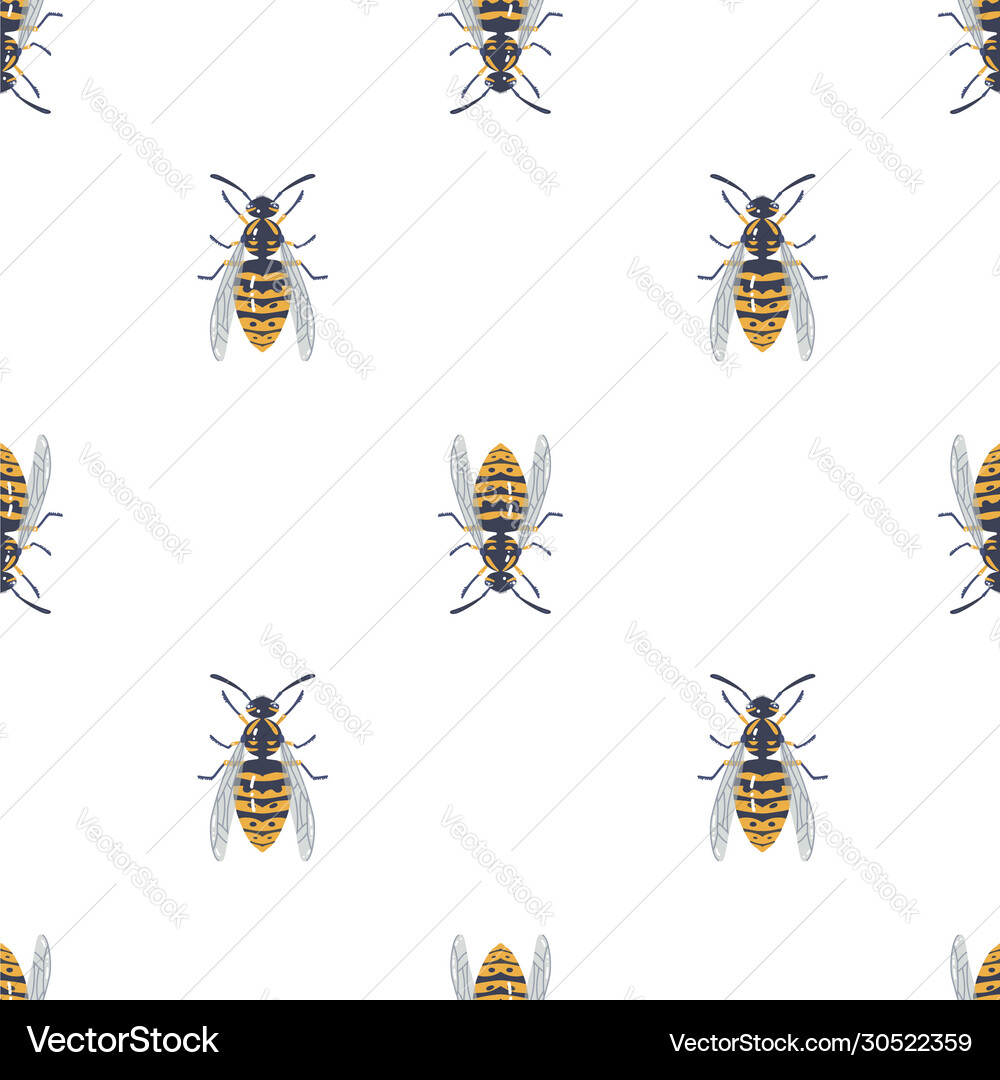 Symmetrical Wasp Pattern vector image