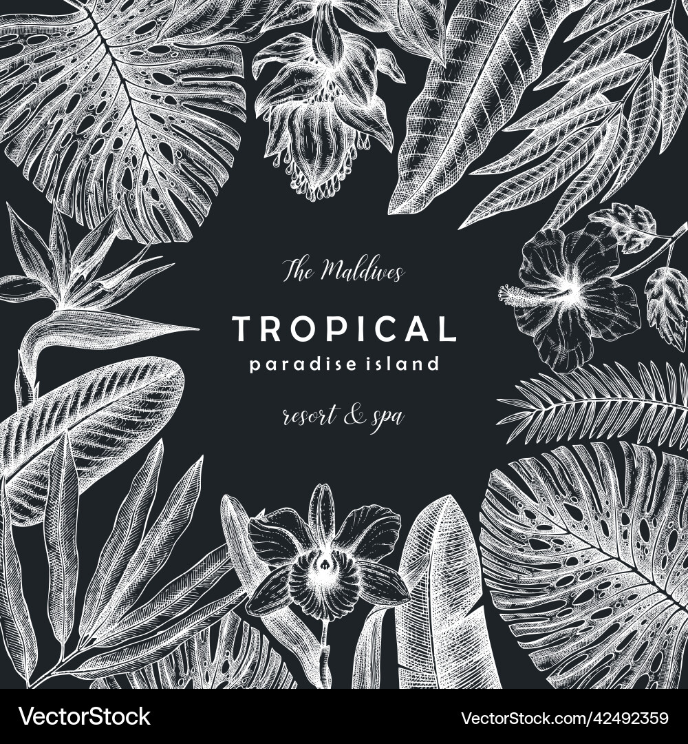 Tropical banner on a chalkboard frame Tropical banner on a chalkboard frame vector image