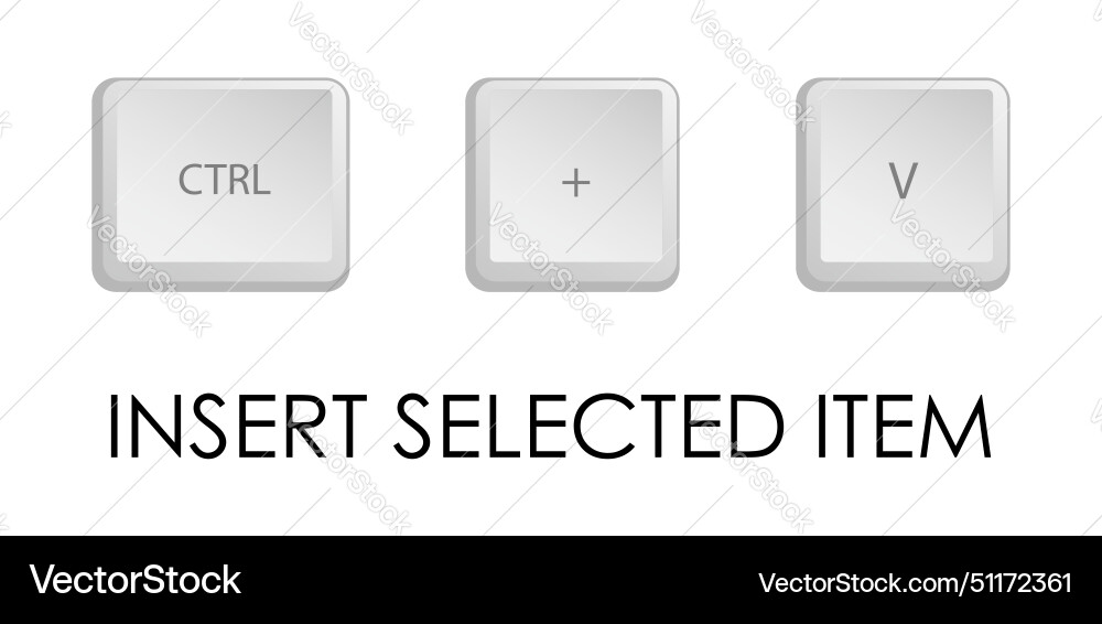 Insert key combination keyboard shortcut vector image