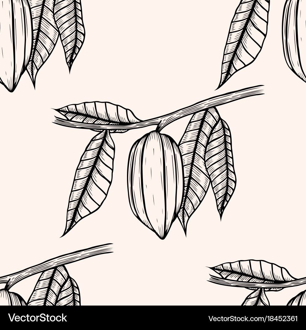 Seamless pattern of cocoa beans vector image