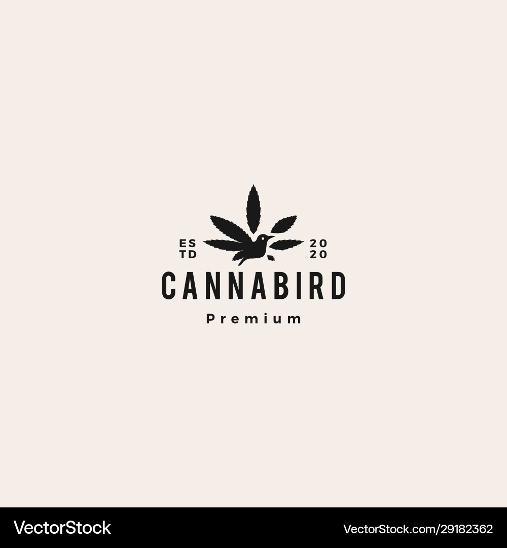 Bird cannabis logo icon hipster retro vintage Bird cannabis logo icon hipster retro vintage vector image