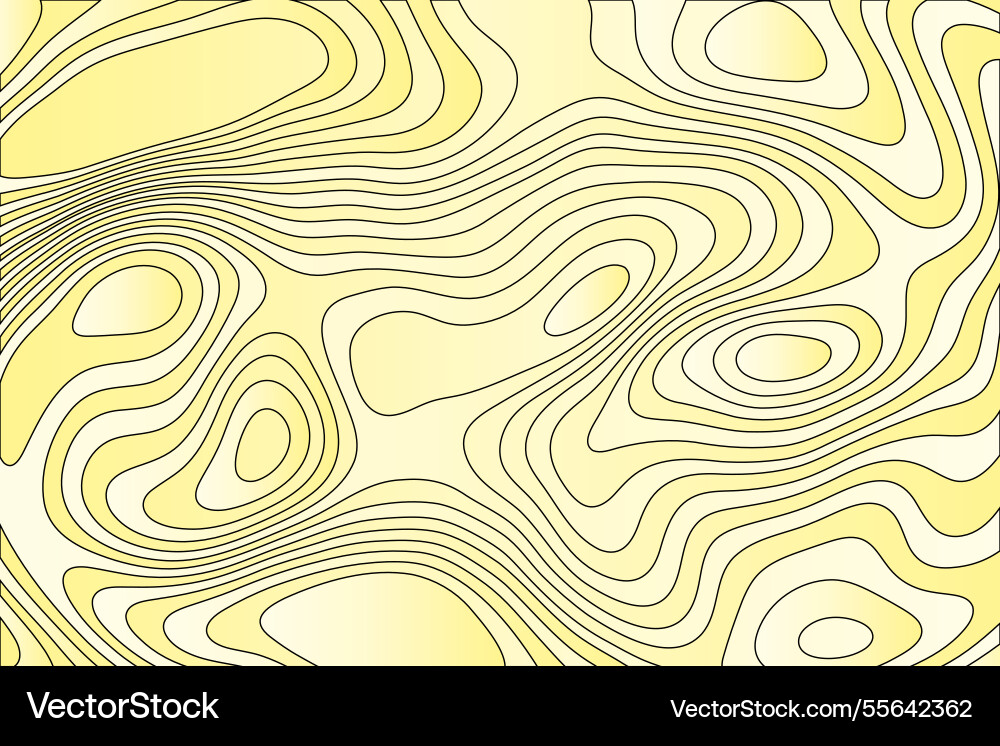 Color lines pattern creative abstract line style Vector Image