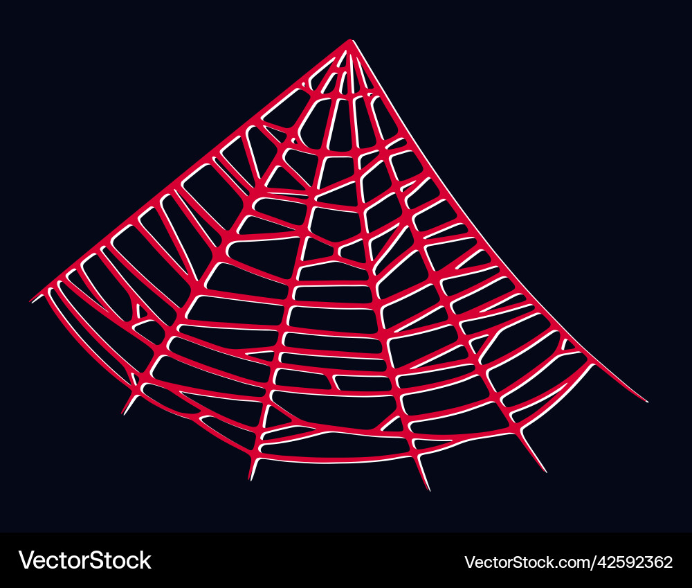 Spider web isolated on dark background spooky Spider web isolated on dark background spooky vector image
