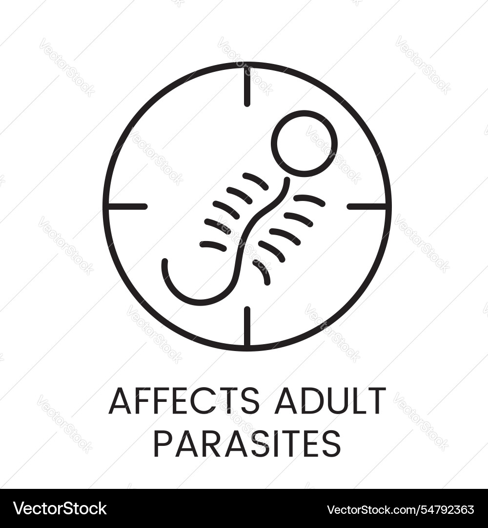 A linear icon of circle with zoomed vector image