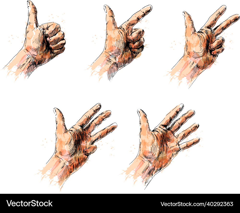 Colored sketch of a hand counting from one to five vector image