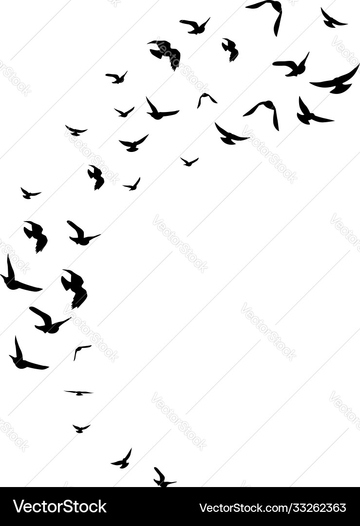 Flying birds decoration element from scattered Flying birds decoration element from scattered Vector Image