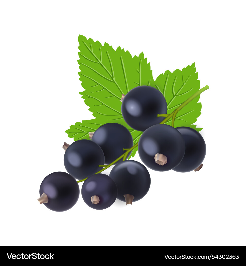 Grape Ikone der lila Frucht wi Grape Ikone der lila Frucht wi vektorbild