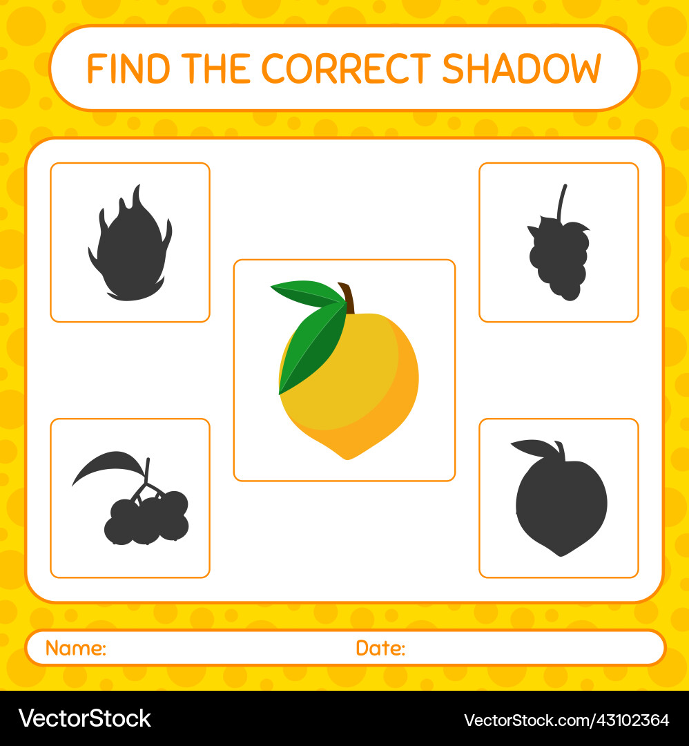 Find the correct shadows game with eggfruit vector image