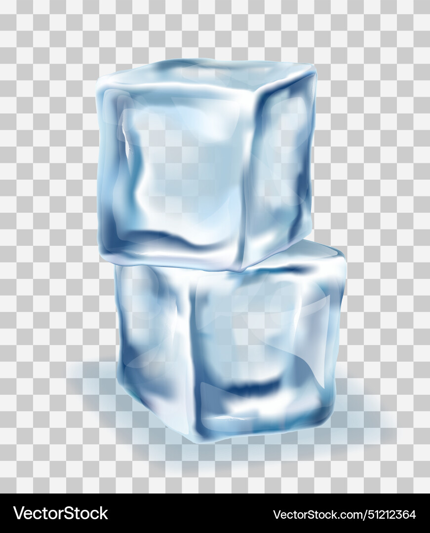 Ice cubes block concept on transparency vector image