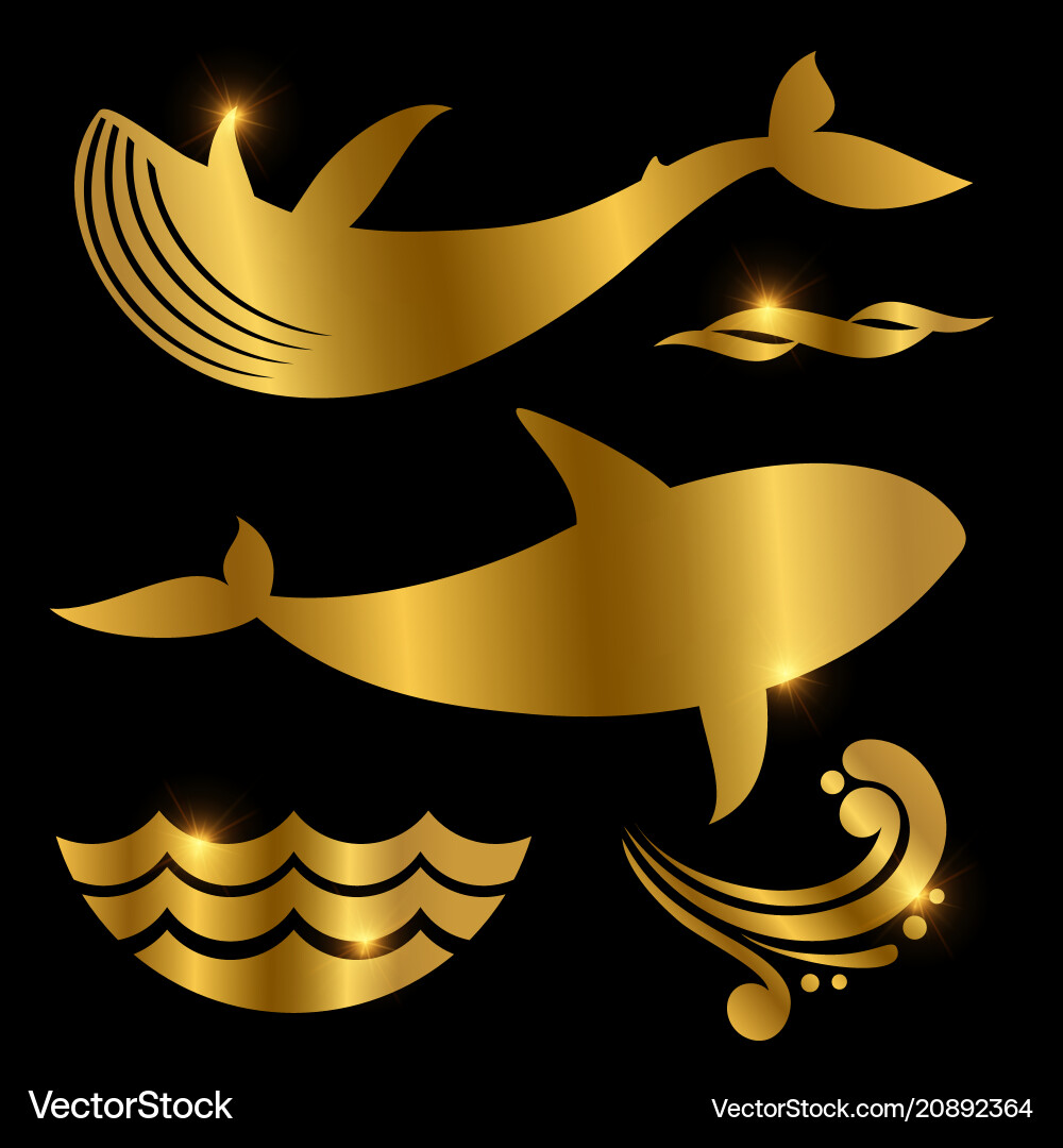 Whale and waves silhouettes Whale and waves silhouettes vector image