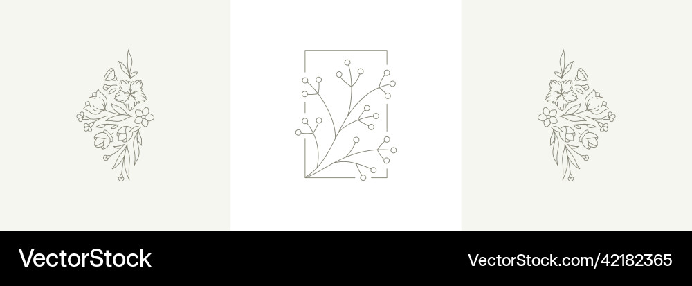 Floral Line Art Botanical Set Vector Image