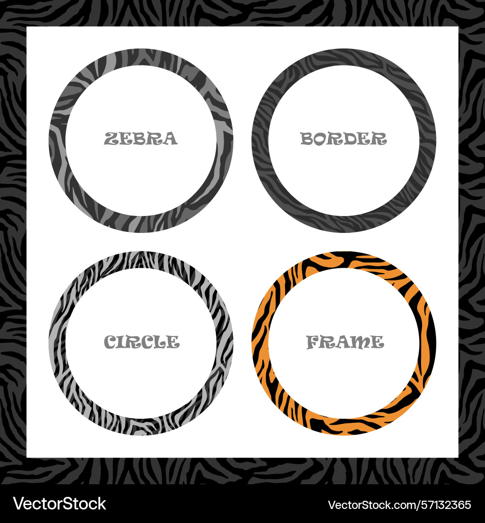 Round frame zebra pattern Round frame zebra pattern vector image