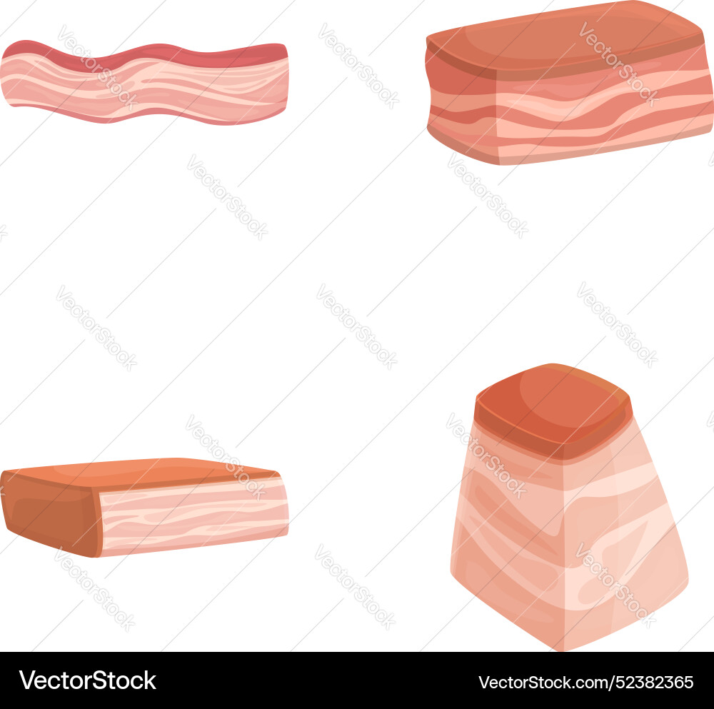 Set featuring different styles of bacon Set featuring different styles of bacon vector image