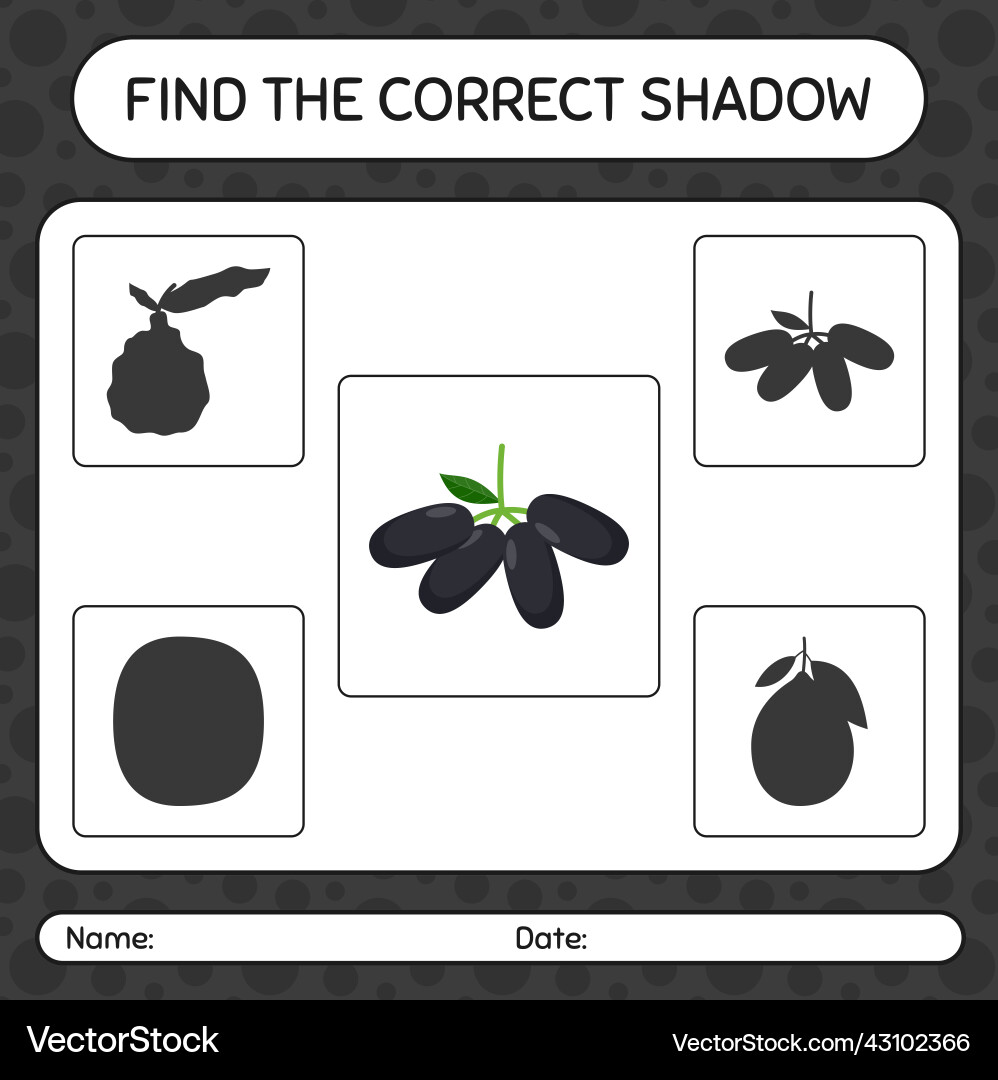 Find the correct shadows game with jambolan Find the correct shadows game with jambolan Vector Image