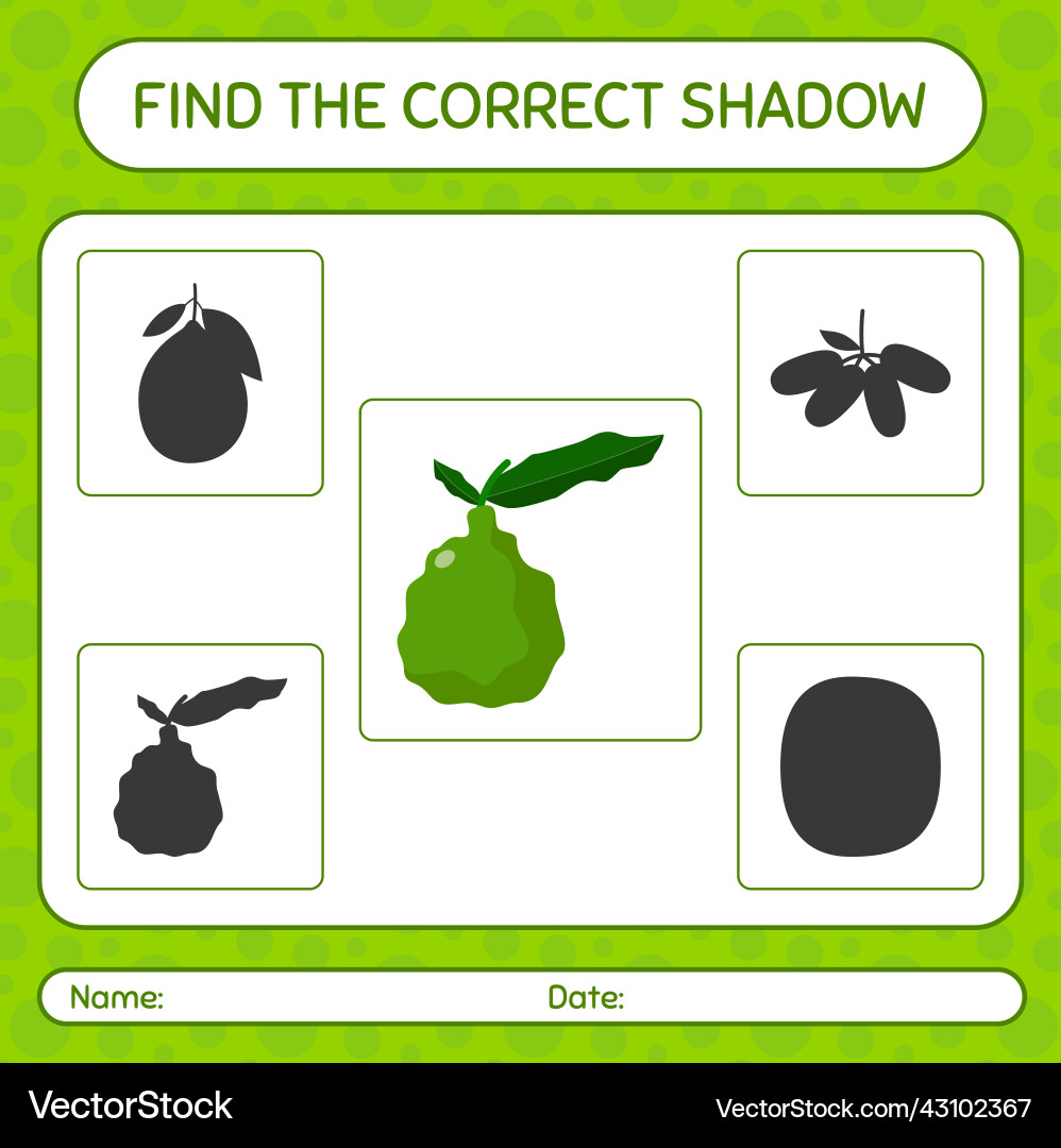 Find the correct shadows game with kaffir lime Vector Image