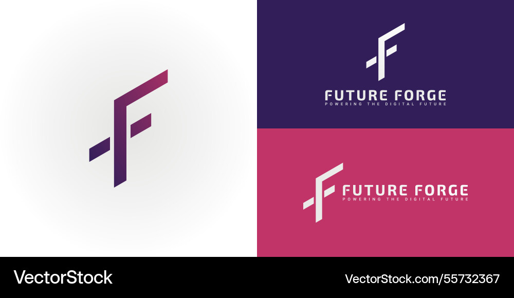 Minimalist representation of the initial ff vector image