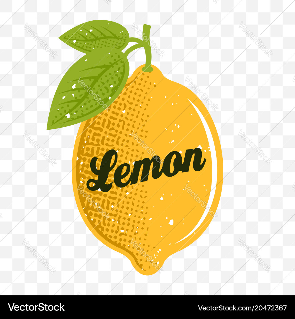 Yellow Lemon with Transparent Background vector image