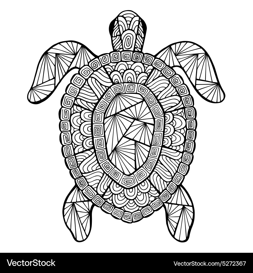 Zentangle Turtle Pattern vector image