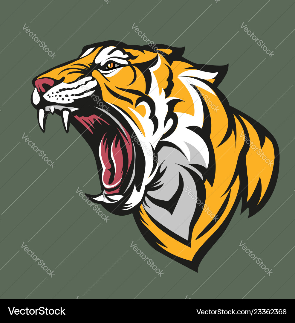 Angry Tiger Head vector image