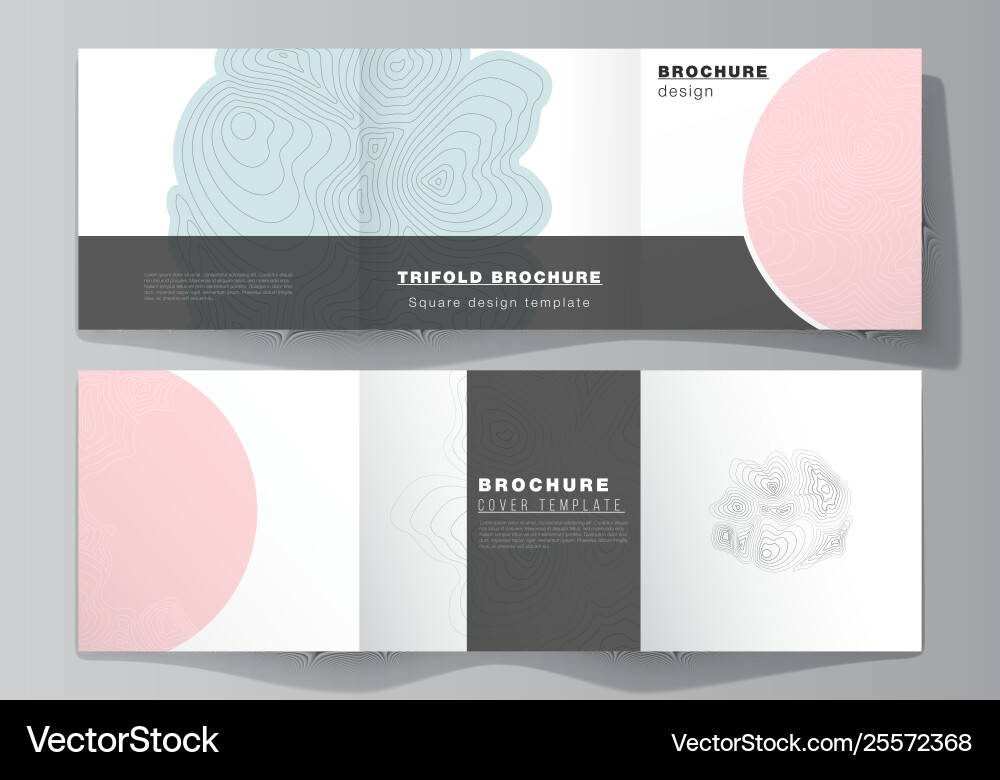 Minimal editable layout square Minimal editable layout square vector image