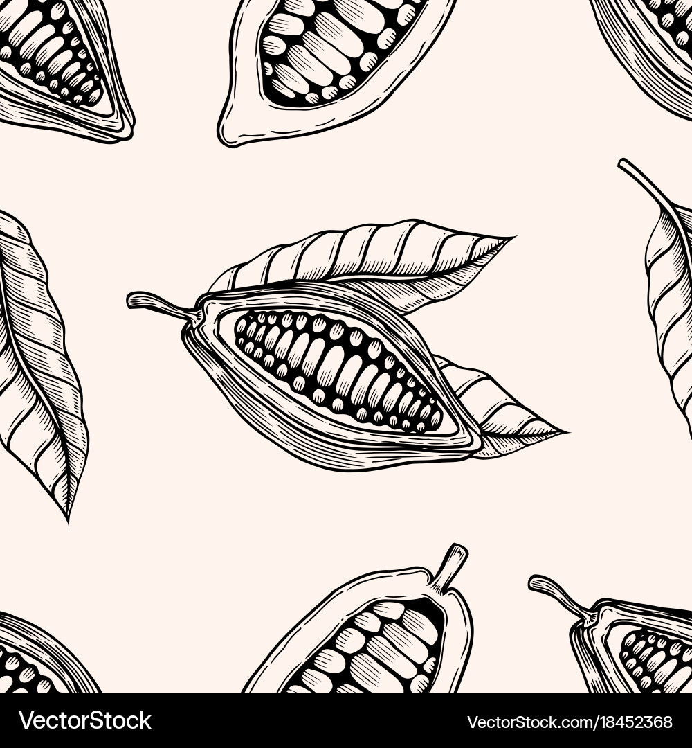 Seamless pattern of cocoa beans Vector Image