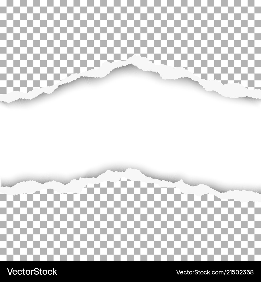 Snatched middle of paper with white background Vector Image