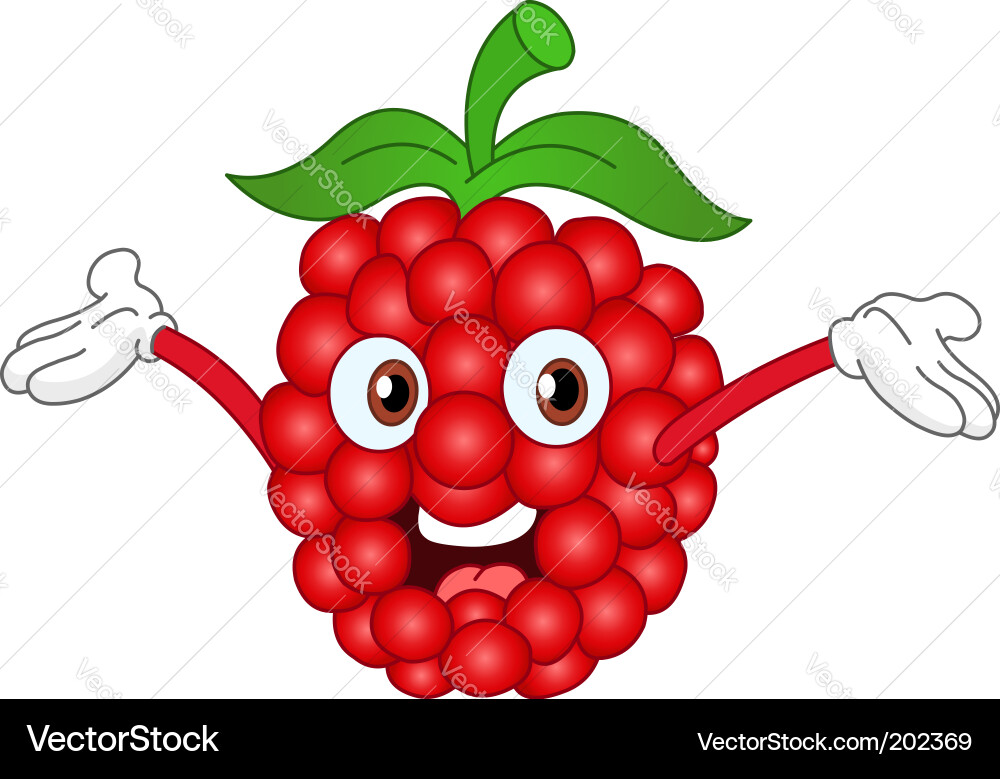 Cheerful Raspberry Cartoon vector image