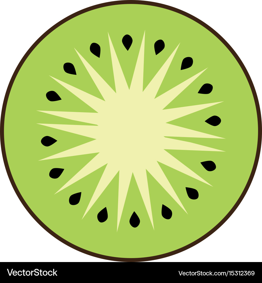 Kiwi Slice Icon - Green Fruit – Royalty-Free Vector | VectorStock, image size:1000x1080