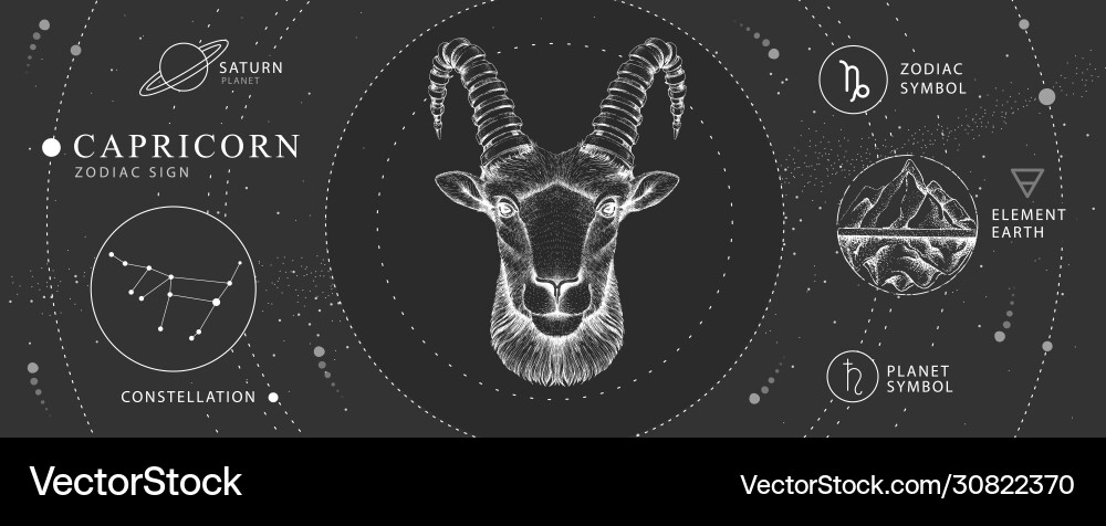 Capricorn Zodiac Magic Card Vector Image