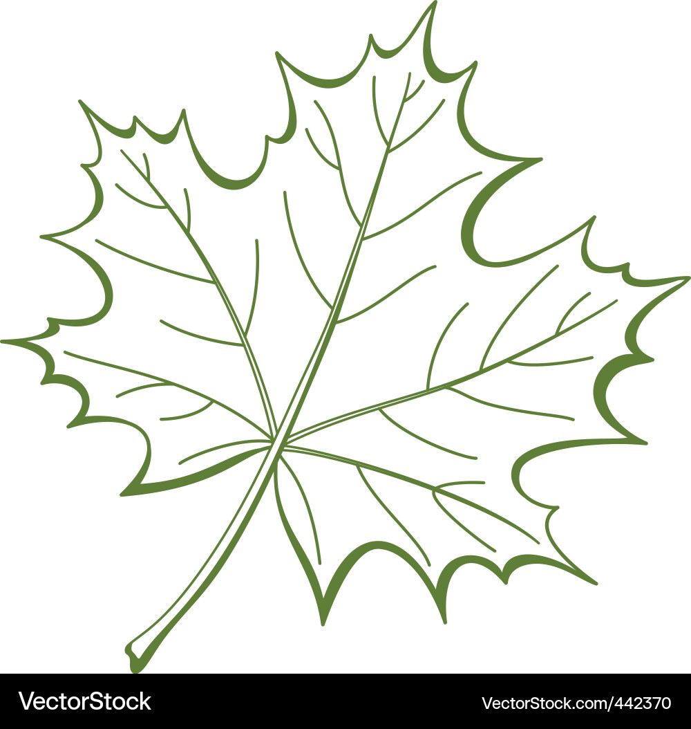 Maple Leaf Silhouette Vector Image