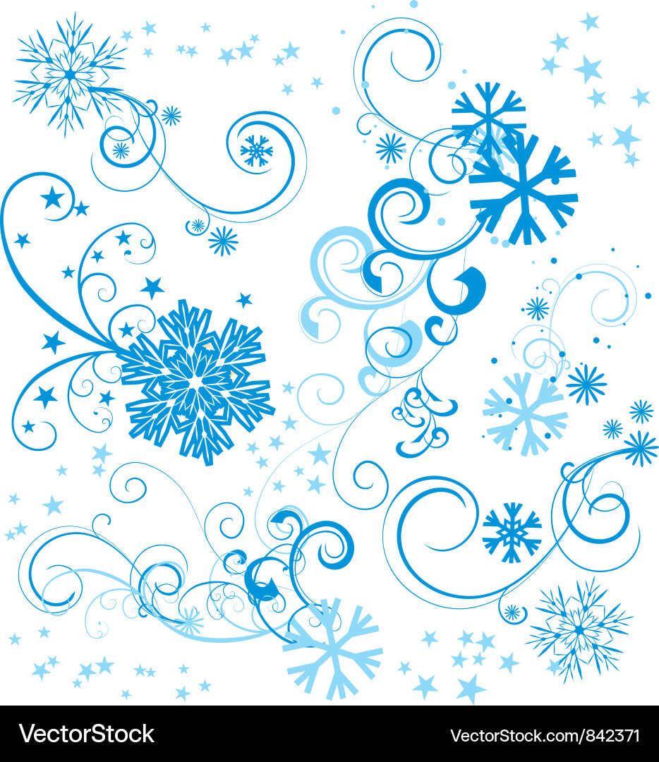 Elegant Snowflake Set vector image