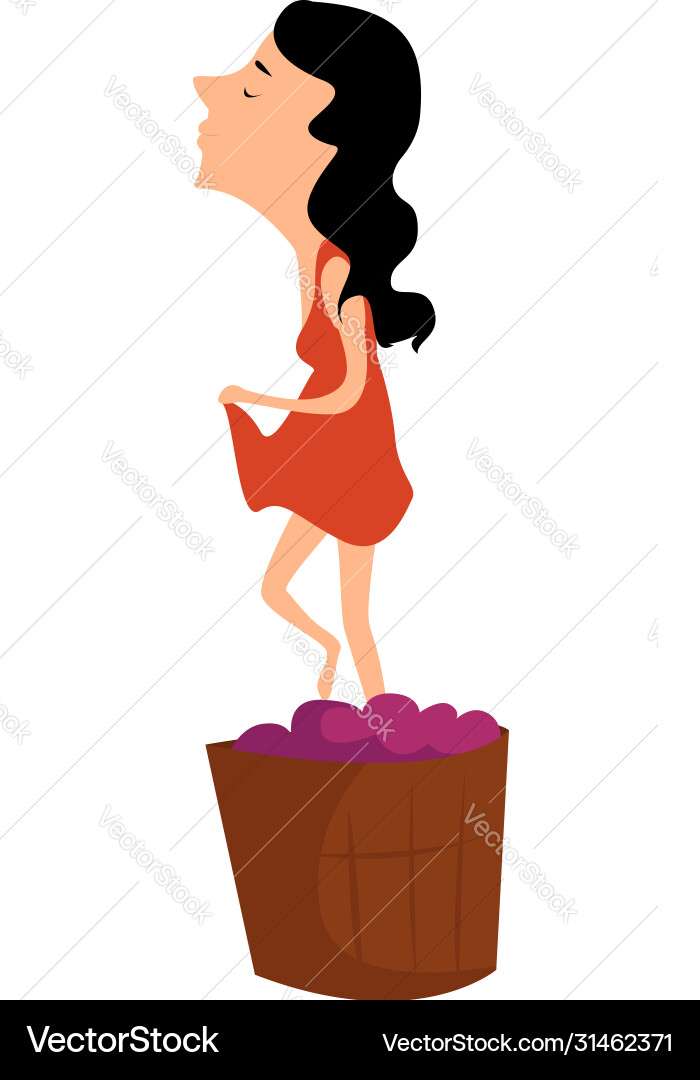 Grape stomping on white background vector image