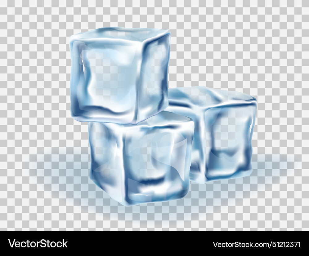 Ice cubes block concept on transparency vector image