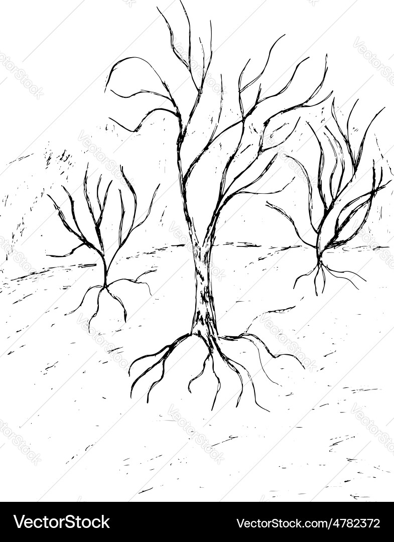 Dead tree sketch3 Vector Image