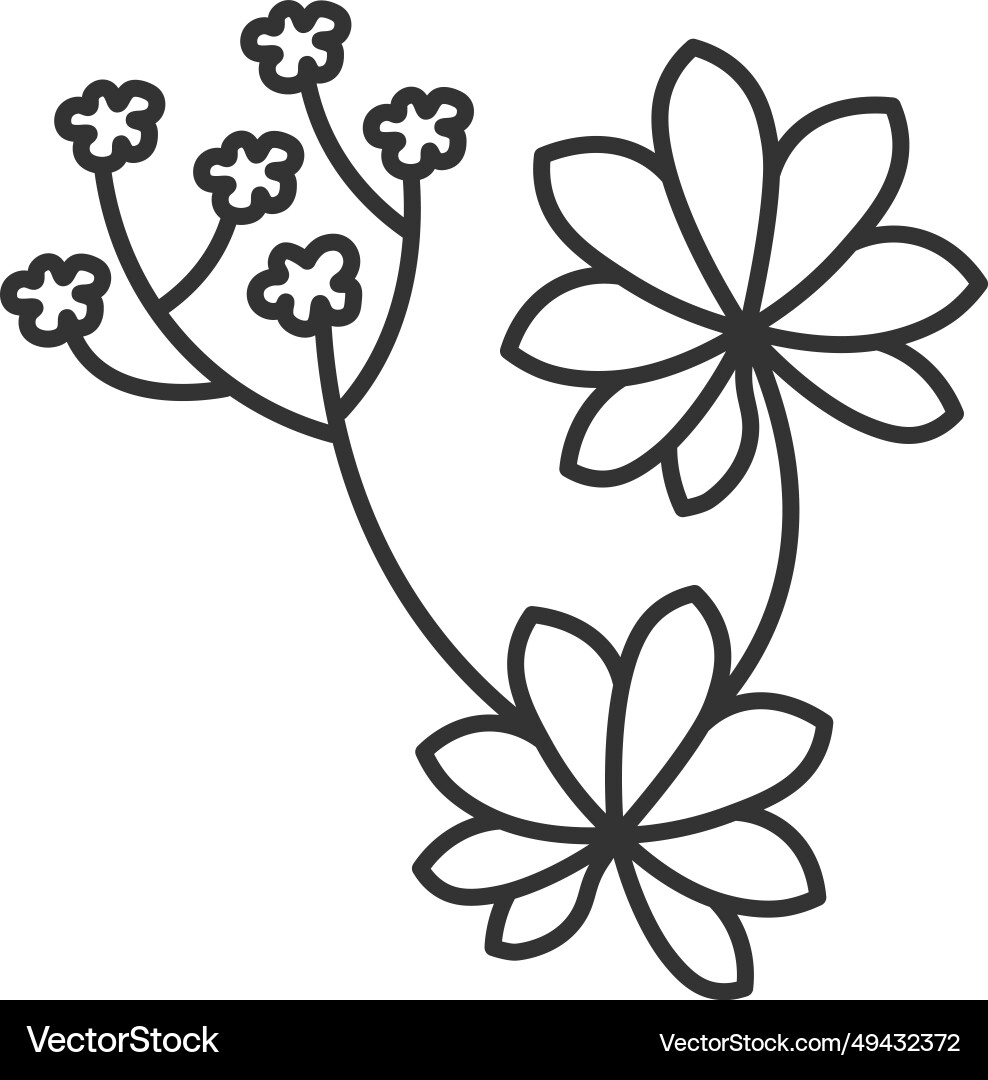 Flourishing plant with leaves and flora stem vector image