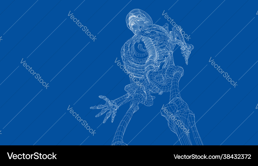 Human skeleton Royalty Free Vector Image - VectorStock