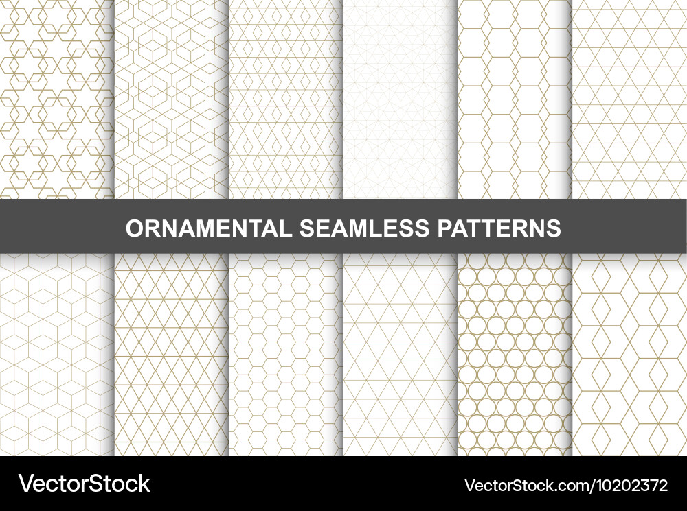 Intricate Ornamental Patterns vector image