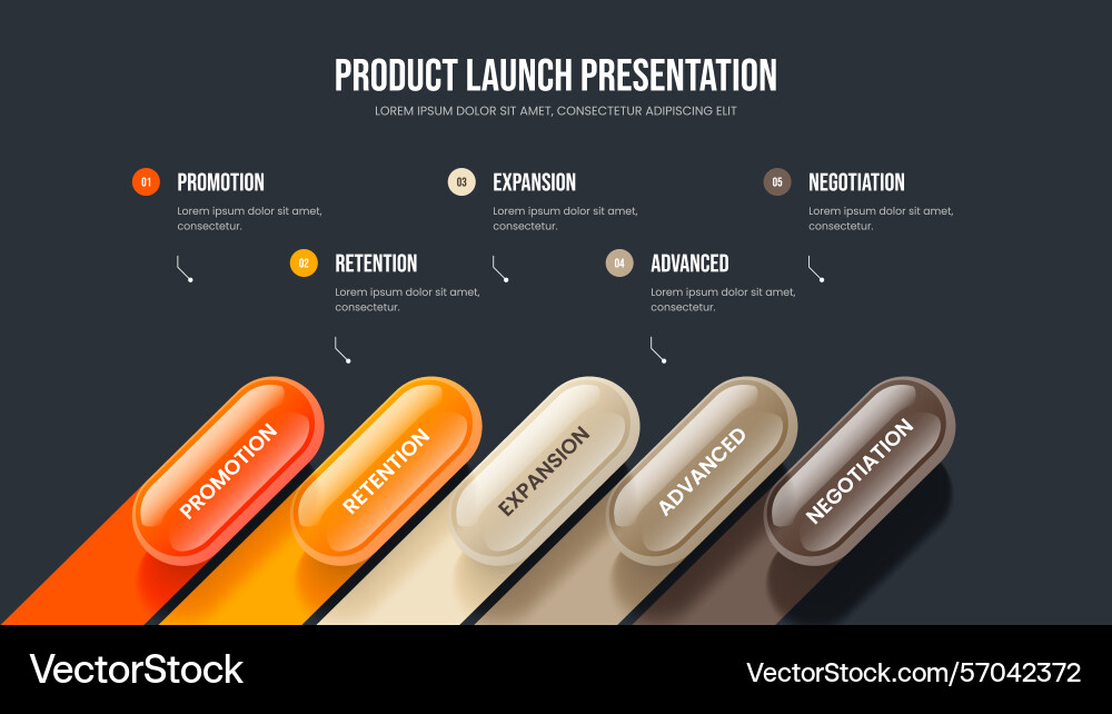 Marketing forecast slideshow design project Marketing forecast slideshow design project vector image
