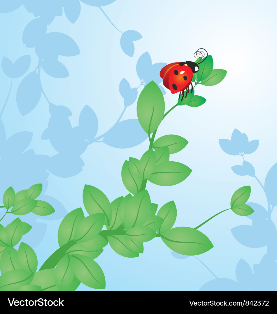 Red ladybird on the tree branch Vector Image