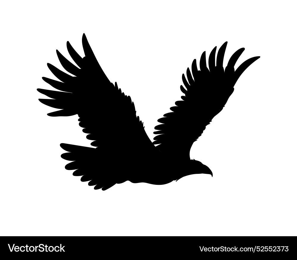 Bald eagle schwarz silhouette icon american Bald eagle schwarz silhouette icon american vektorbild