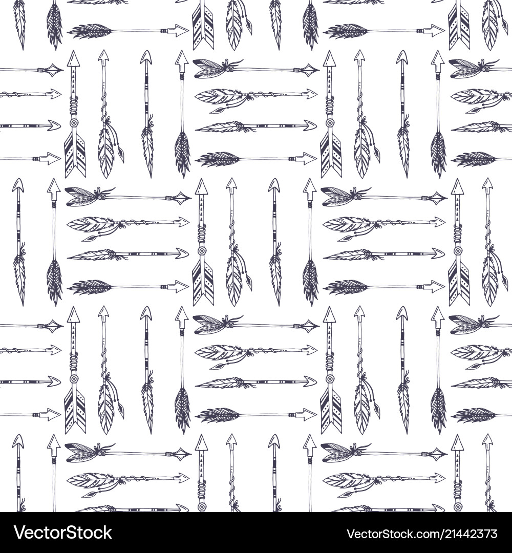 Bohemian Arrows & Feathers vector image
