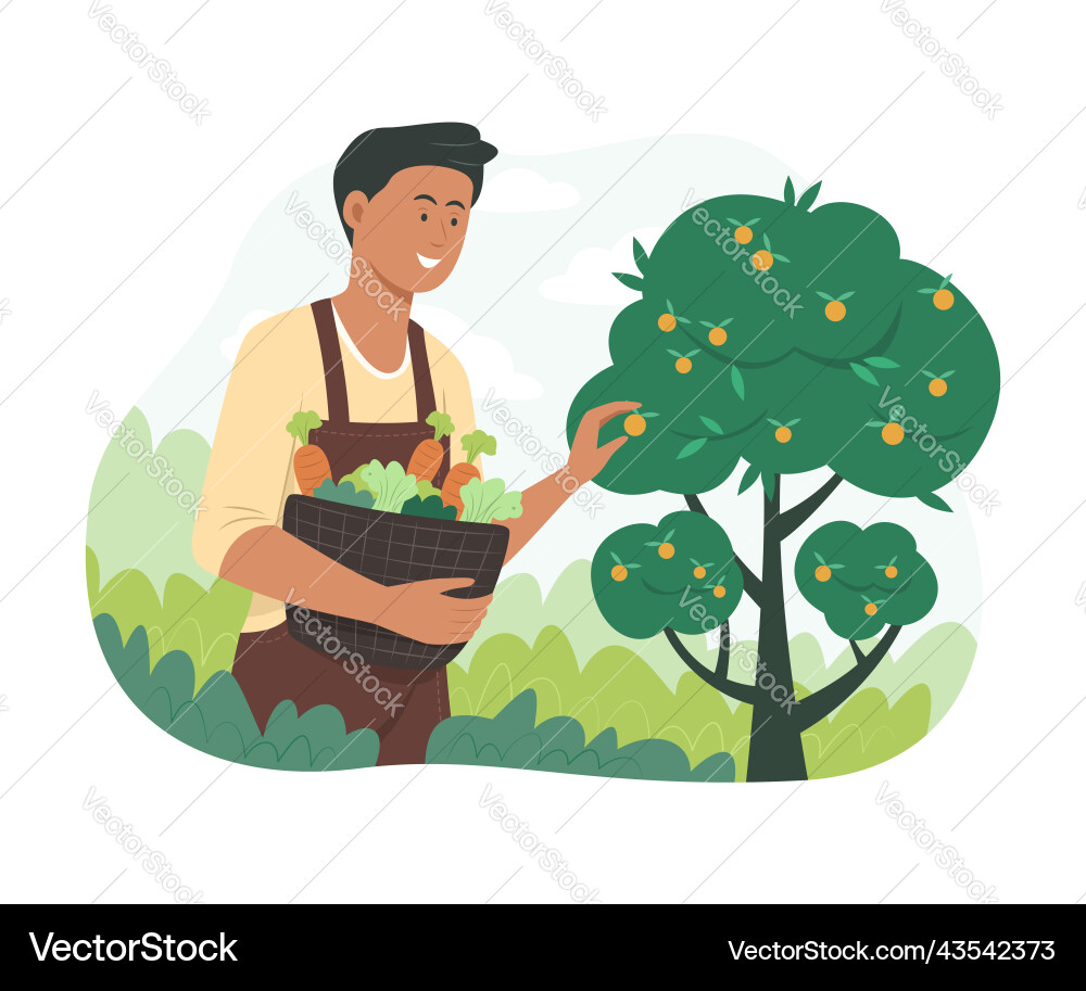Man picking fresh fruits and vegetables in garden Man picking fresh fruits and vegetables in garden vector image