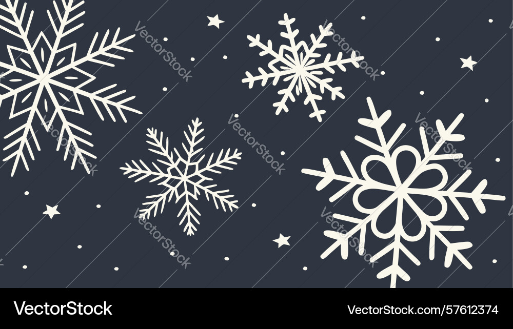 Diverse snowflake pattern on dark background Vector Image