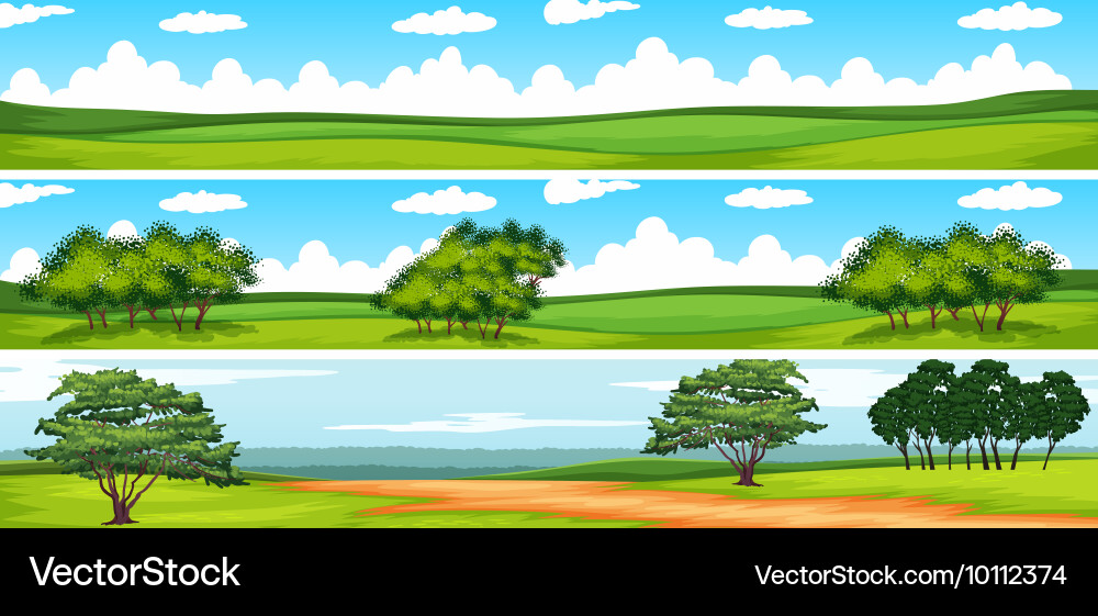 Scene with trees in the field vector image