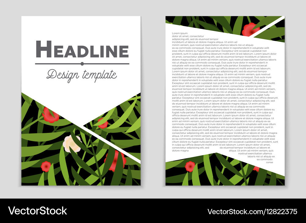 Abstract layout background set for art Vector Image